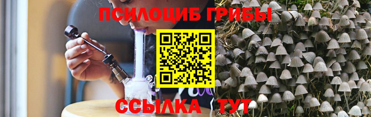Галлюциногенные грибы Psilocybine cubensis  Псилоцибиновые грибы ЛСД  Нефтекамск  Вход с VPN 
